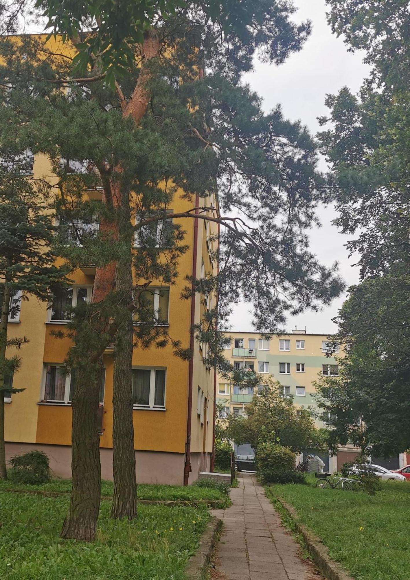 Mieszkanie Brzezno Przy Plazy Gdańsk Exterior foto